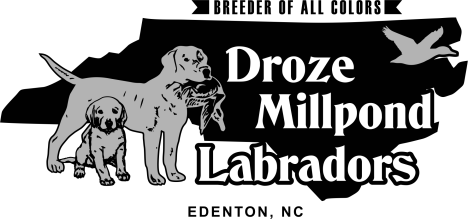 Droze Millpond Labrador Logo